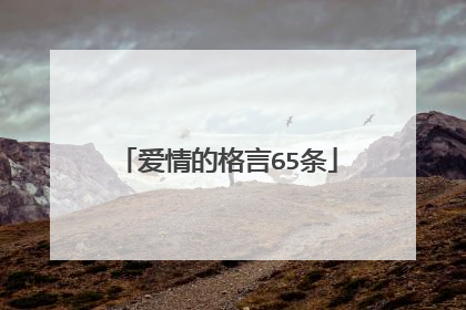 爱情的格言65条