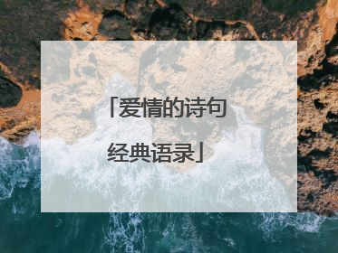 爱情的诗句经典语录