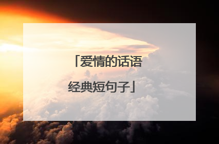 爱情的话语经典短句子