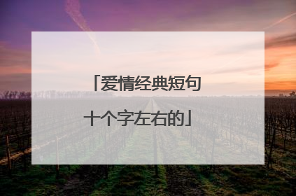 爱情经典短句十个字左右的