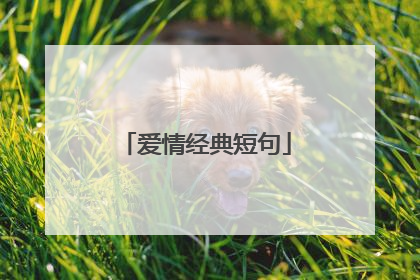 爱情经典短句