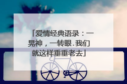 爱情经典语录：一晃神，一转眼.我们就这样垂垂老去
