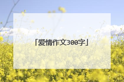 爱情作文300字