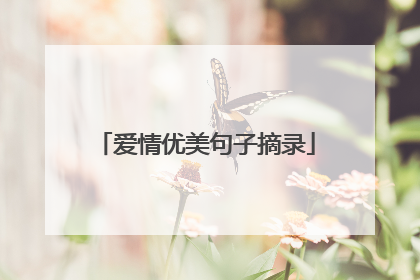 爱情优美句子摘录