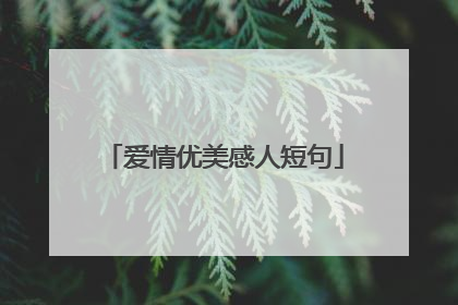 爱情优美感人短句