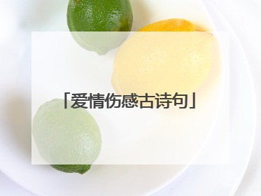 爱情伤感古诗句