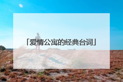 爱情公寓的经典台词