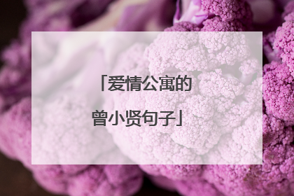 爱情公寓的曾小贤句子