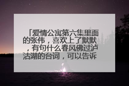 爱情公寓第六集里面的张伟，喜欢上了默默，有句什么春风佛过泸沽湖的台词，可以告诉我完整的吗？
