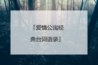 爱情公寓经典台词语录