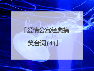 爱情公寓经典搞笑台词(4)