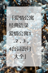 爱情公寓经典语录 爱情公寓1.2，3，4台词语句大全