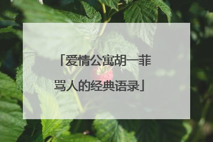 爱情公寓胡一菲骂人的经典语录