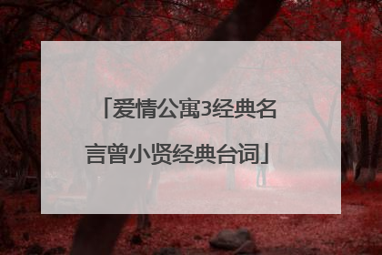 爱情公寓3经典名言曾小贤经典台词