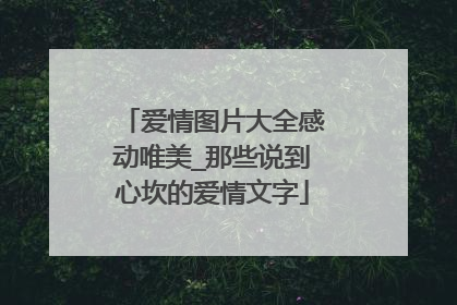 爱情图片大全感动唯美_那些说到心坎的爱情文字