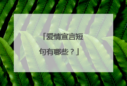 爱情宣言短句有哪些?