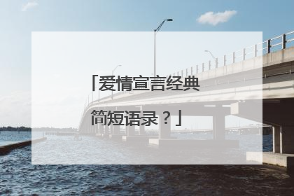 爱情宣言经典简短语录？