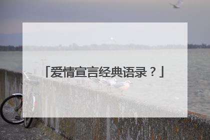 爱情宣言经典语录？