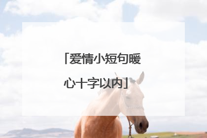 爱情小短句暖心十字以内