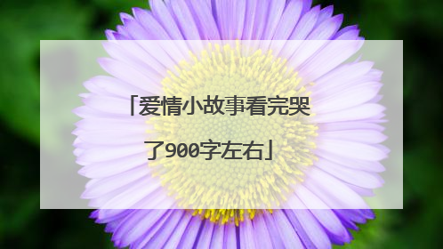 爱情小故事看完哭了900字左右