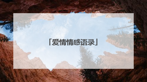 爱情情感语录