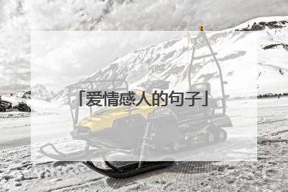 爱情感人的句子