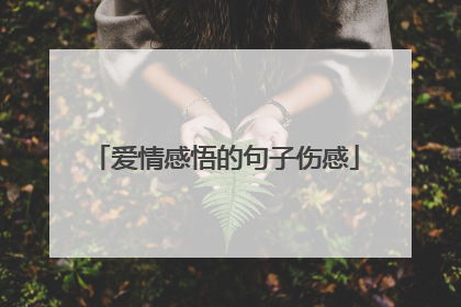 爱情感悟的句子伤感