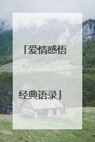爱情感悟经典语录