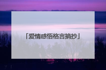 爱情感悟格言摘抄