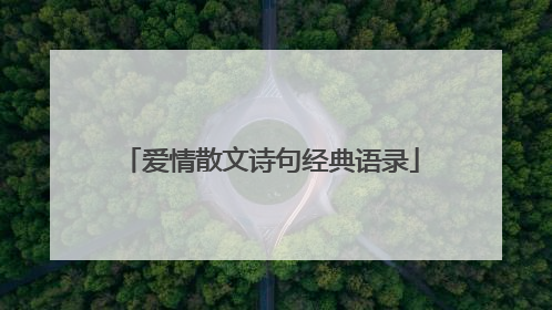 爱情散文诗句经典语录