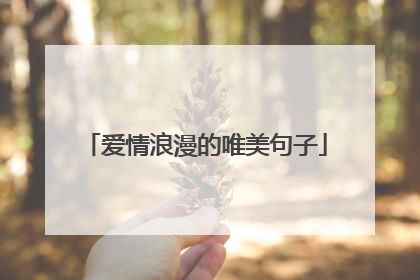 爱情浪漫的唯美句子