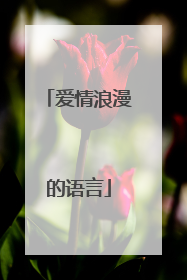 爱情浪漫的语言