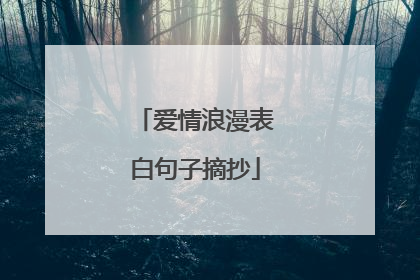 爱情浪漫表白句子摘抄