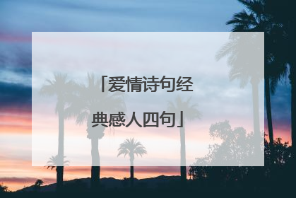 爱情诗句经典感人四句