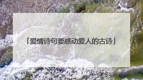 爱情诗句要感动爱人的古诗