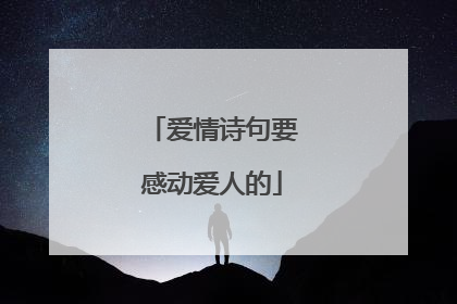 爱情诗句要感动爱人的