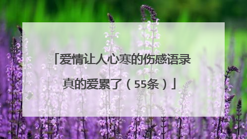 爱情让人心寒的伤感语录 真的爱累了（55条）