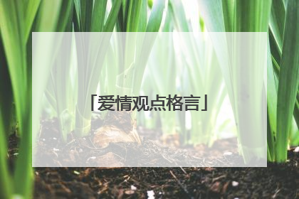 爱情观点格言
