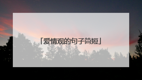 爱情观的句子简短