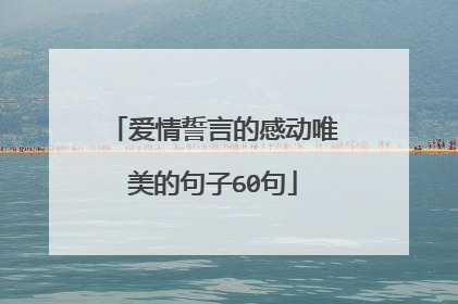 爱情誓言的感动唯美的句子60句