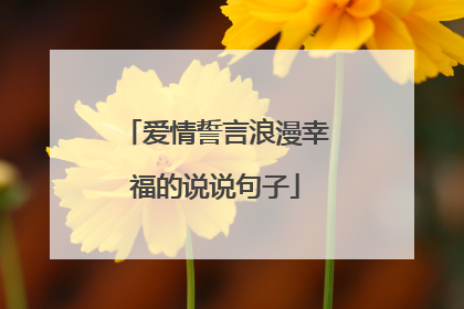 爱情誓言浪漫幸福的说说句子