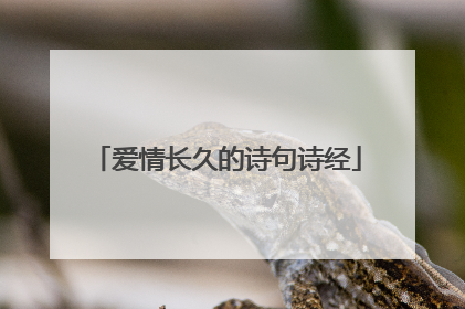 爱情长久的诗句诗经
