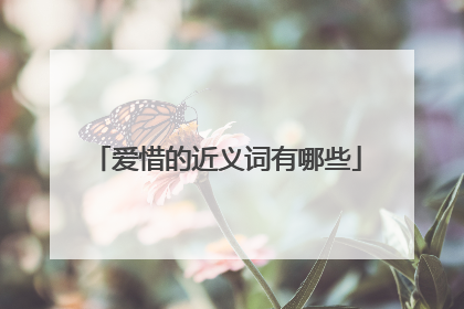 爱惜的近义词有哪些