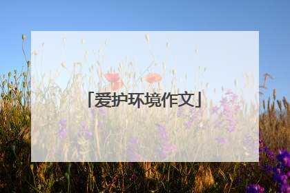 爱护环境作文