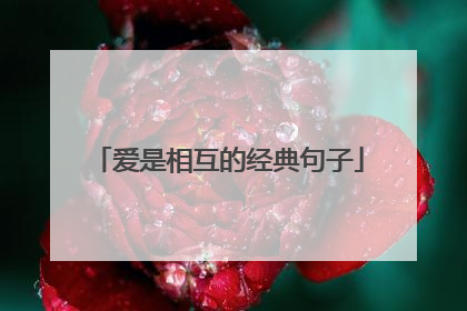 爱是相互的经典句子