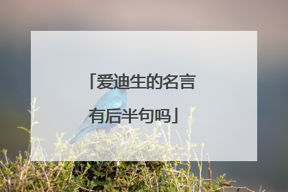 爱迪生的名言有后半句吗
