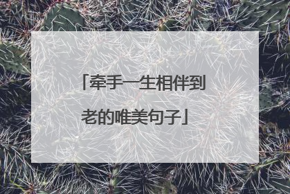 牵手一生相伴到老的唯美句子