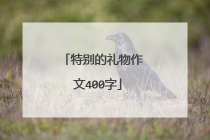 特别的礼物作文400字