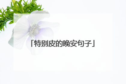 特别皮的晚安句子