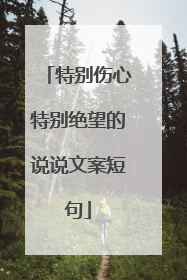 特别伤心特别绝望的说说文案短句